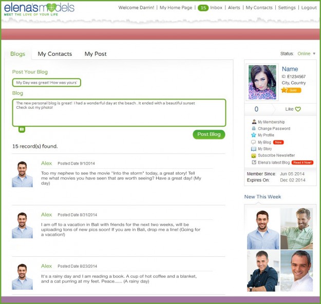 Blog example