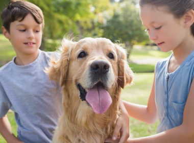 protect your kids from dogs’ bites