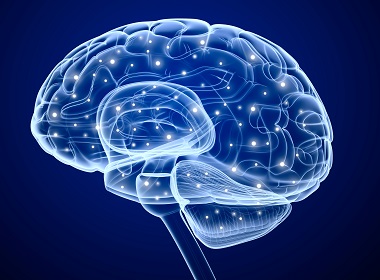 How 86 billion neurons in human brain really work