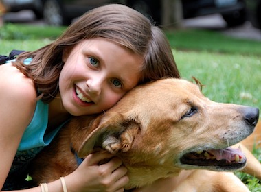 5 tips to protect your kids from dogs' bites
