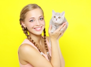 Кошки вовсе не гуляют сами по себе