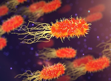 how-10-trillion-gut-microbes-affect-your-health-4 How 10 trillion gut microbes affect your health